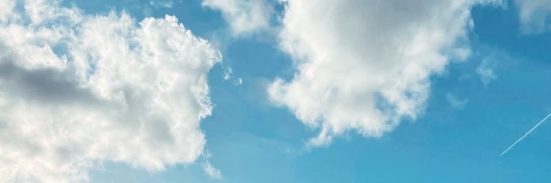 LoiseauStella's profile banner image