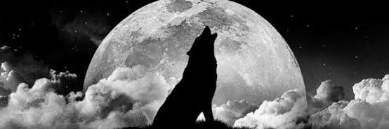 PerelaDemeyeibo's profile banner image