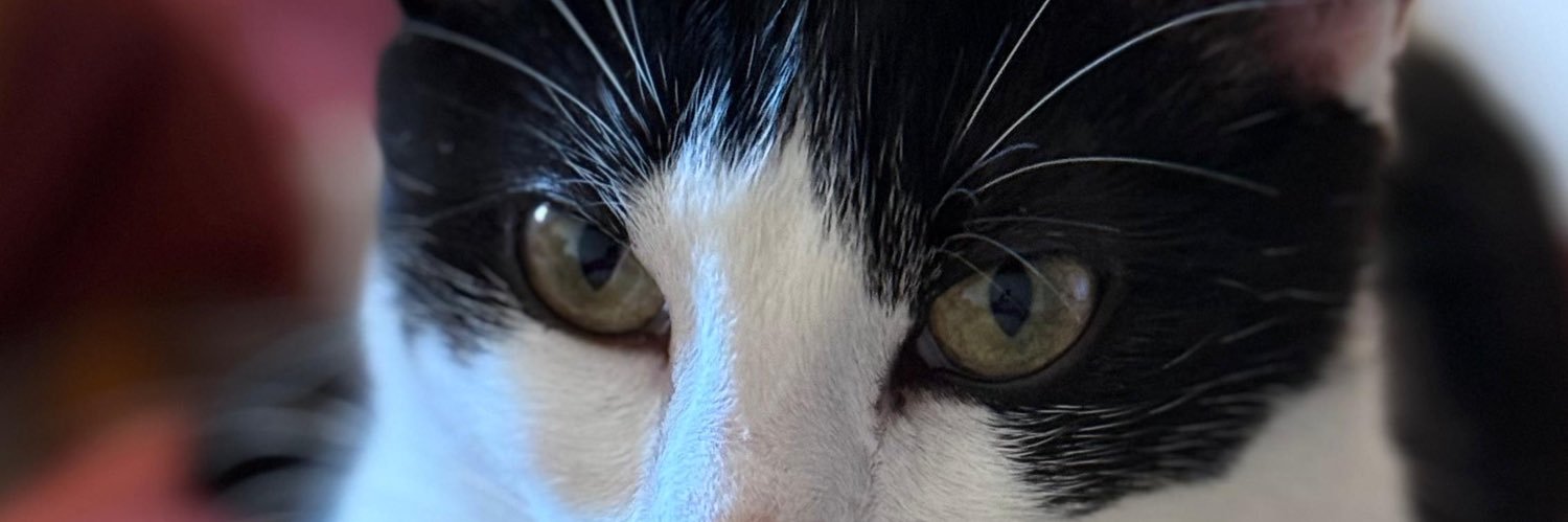 AgusBusta13's profile banner image