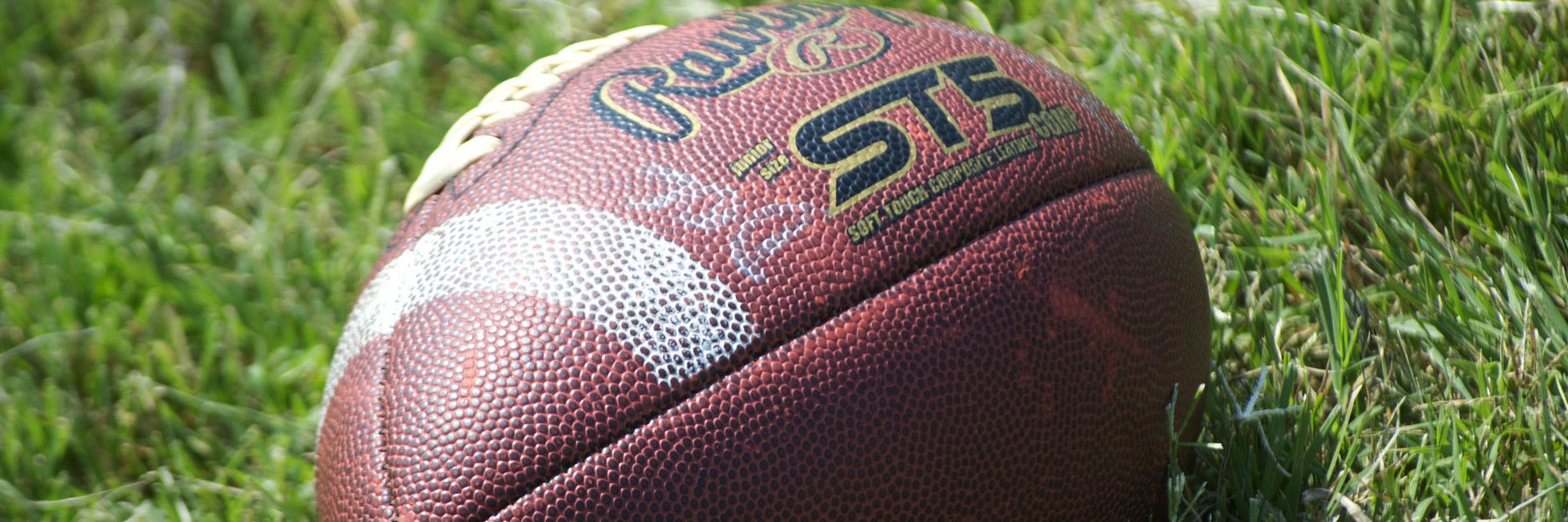 Grove Sun Sports banner