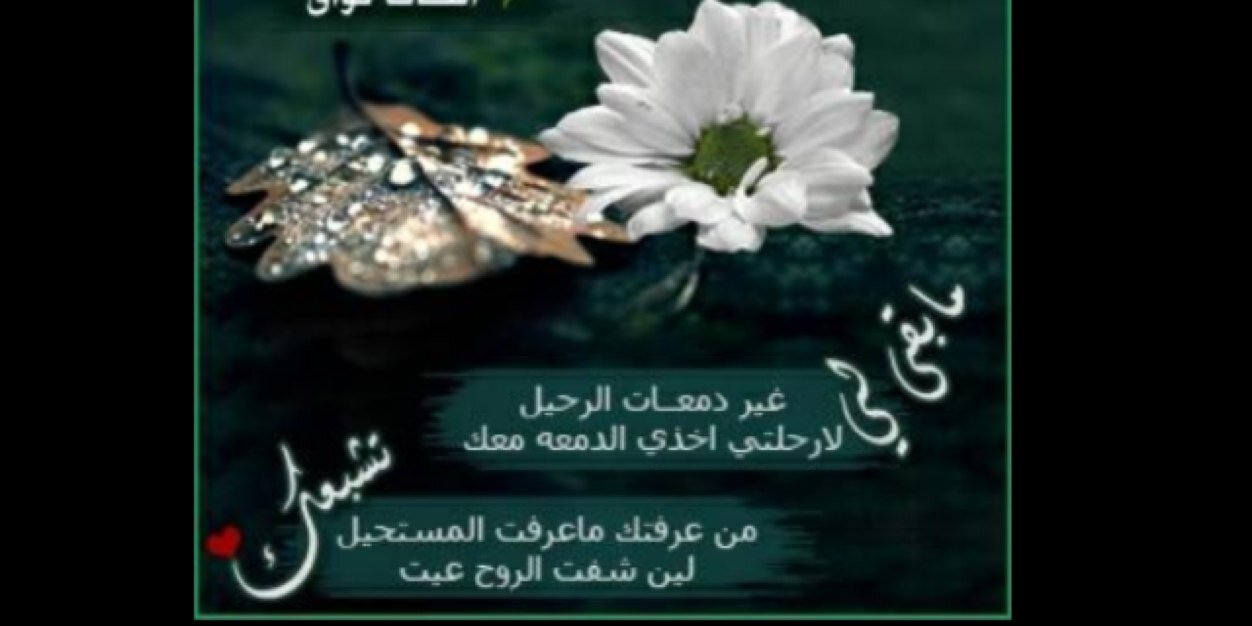 Nssh2011's profile banner image