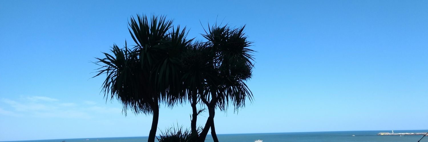 MenzanoAgustin's profile banner image