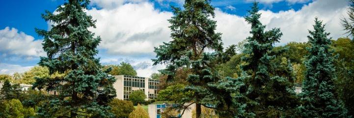 La Celle Saint-Cloud banner