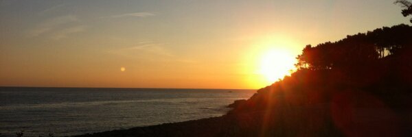 fefeicompanyia Profile Banner