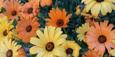 jawaher0216's profile banner image