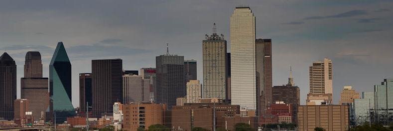 Dallas Bus. Advisors banner