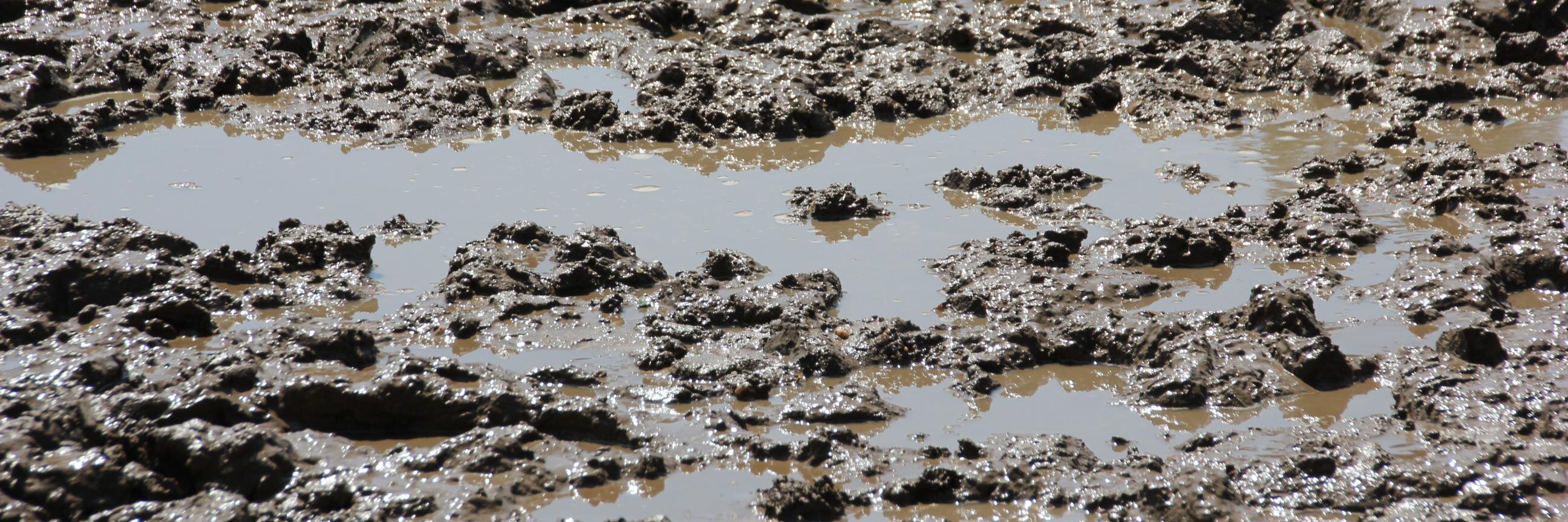 mudsoccer's profile banner image