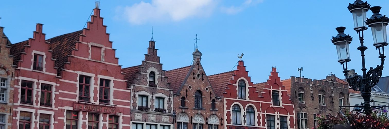 𝑨𝒓𝒂 🦑⭐️ banner