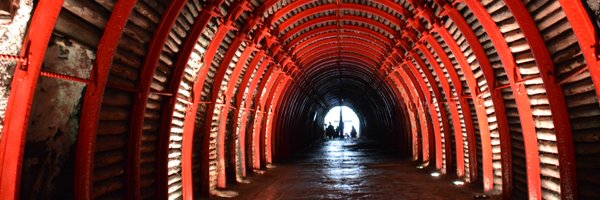 manufloridia Profile Banner