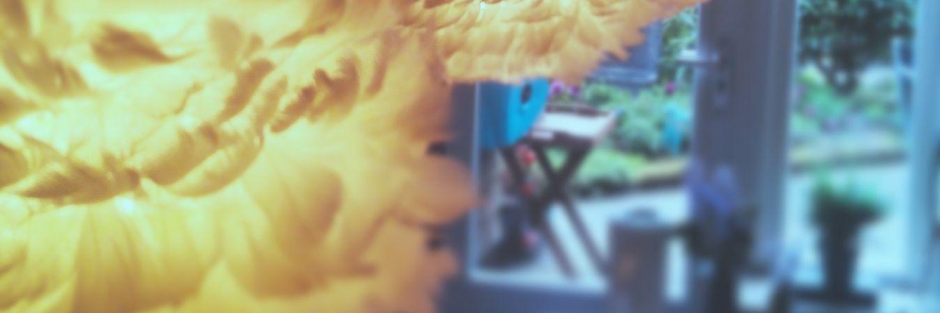 PuckjeX's profile banner image
