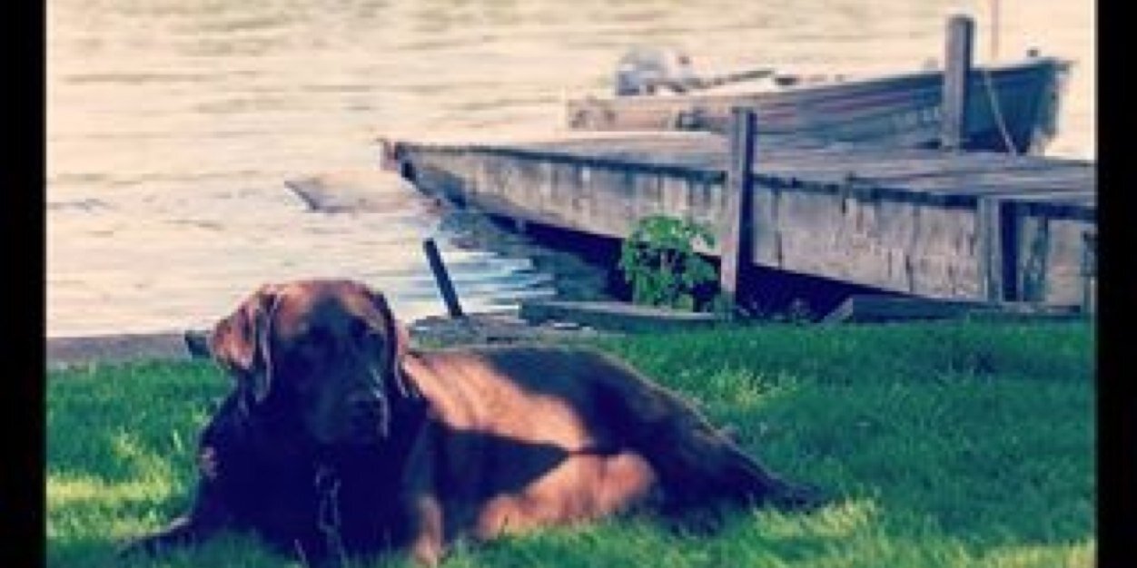 heidikd15's profile banner image