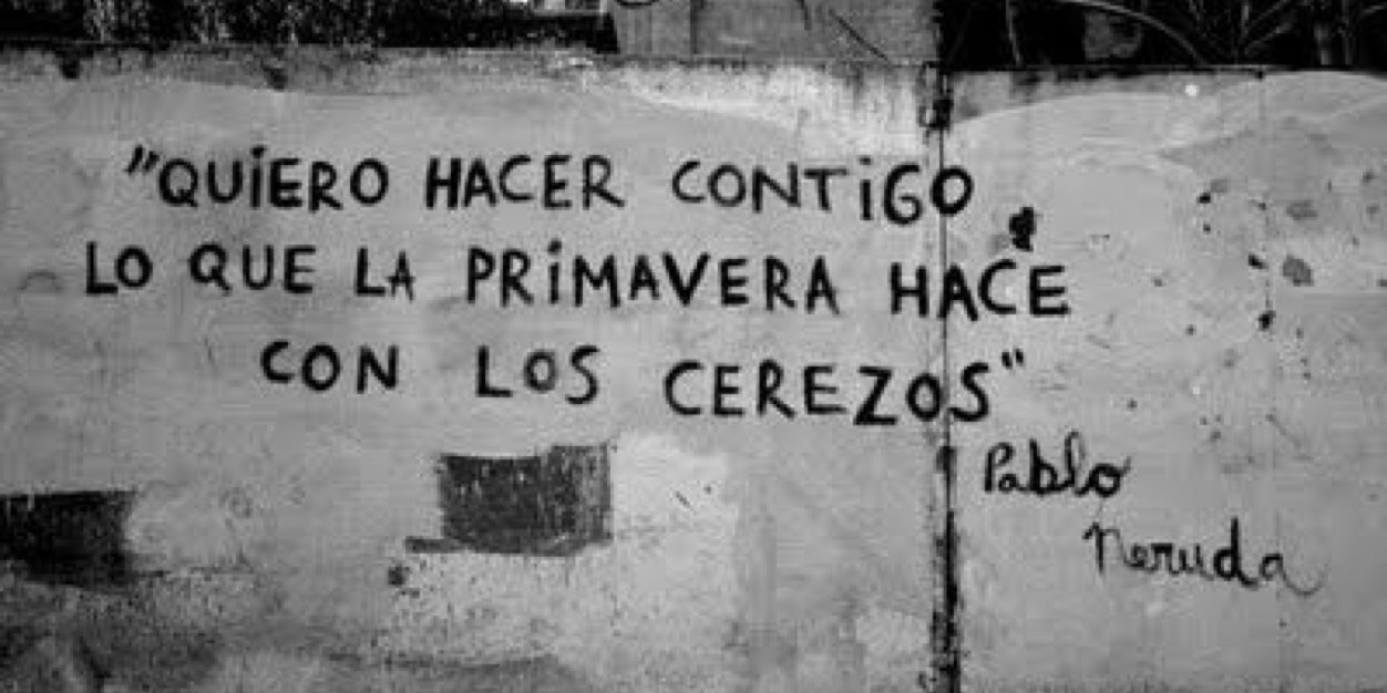 chis banner