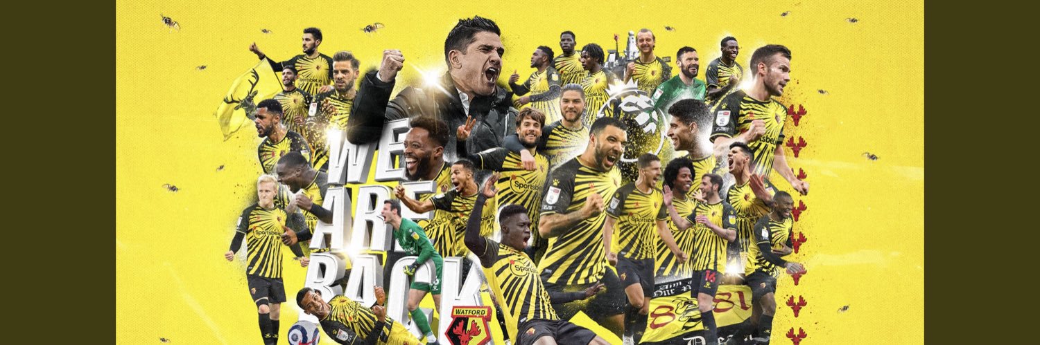 aligcox's profile banner image