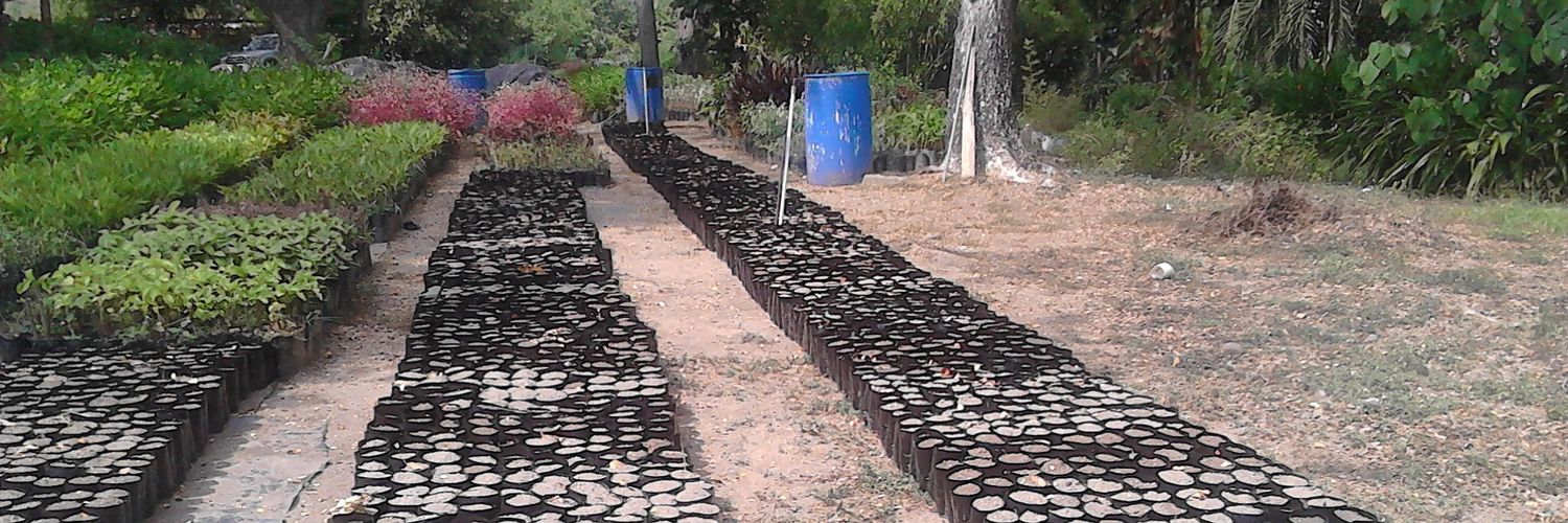 CONARE MÉRIDA banner