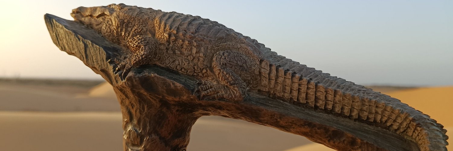 Ever_Zarraga's profile banner image
