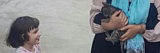 Sevilسویل 🇹🇷 🏹 Dm yok🚫 banner
