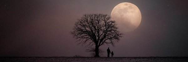 factanonverba66 Profile Banner