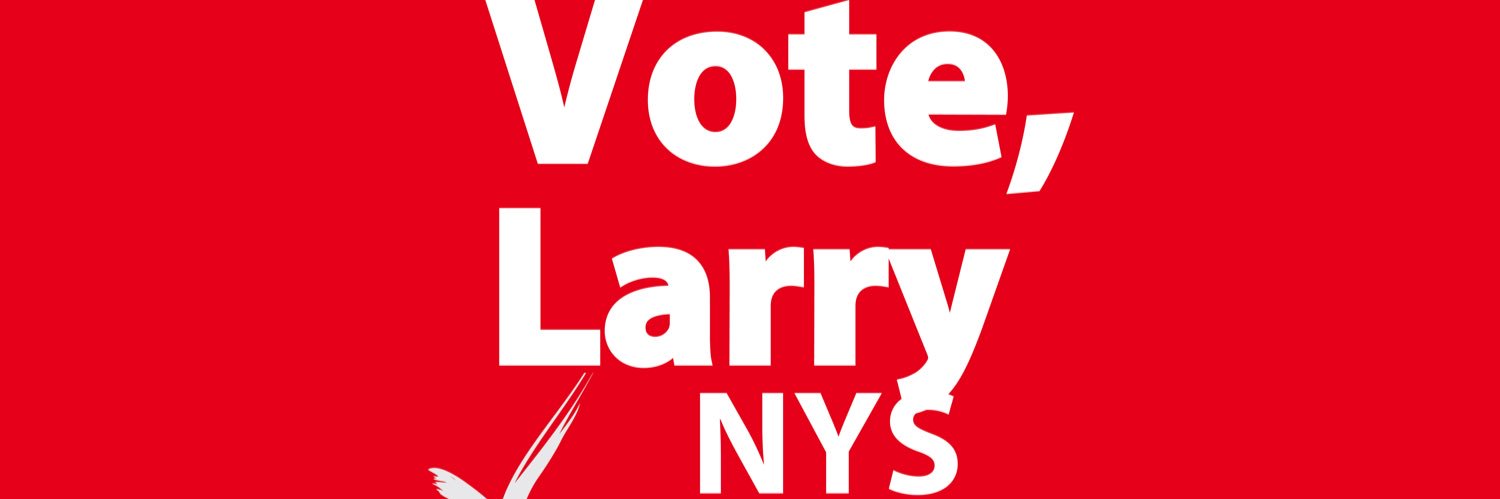 VoteLarryforNY's profile banner image