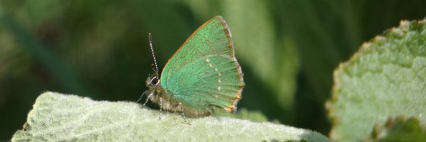 12broadbentm Profile Banner