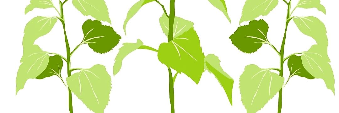 Ronald Raygun banner