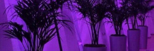 pretttypink's profile banner image