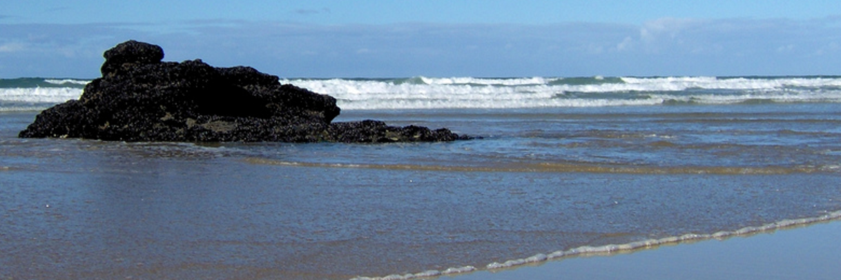 ourCommonOcean's profile banner image