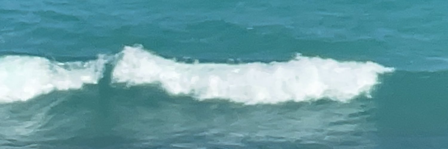 Pinkkydoo's profile banner image