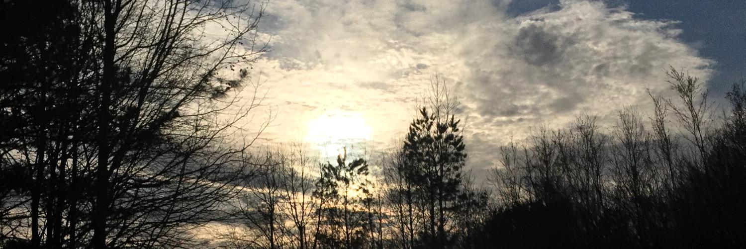 laurenhooks6's profile banner image