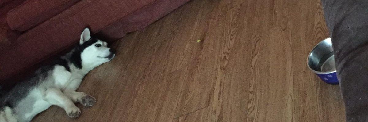 Alejandroga__'s profile banner image