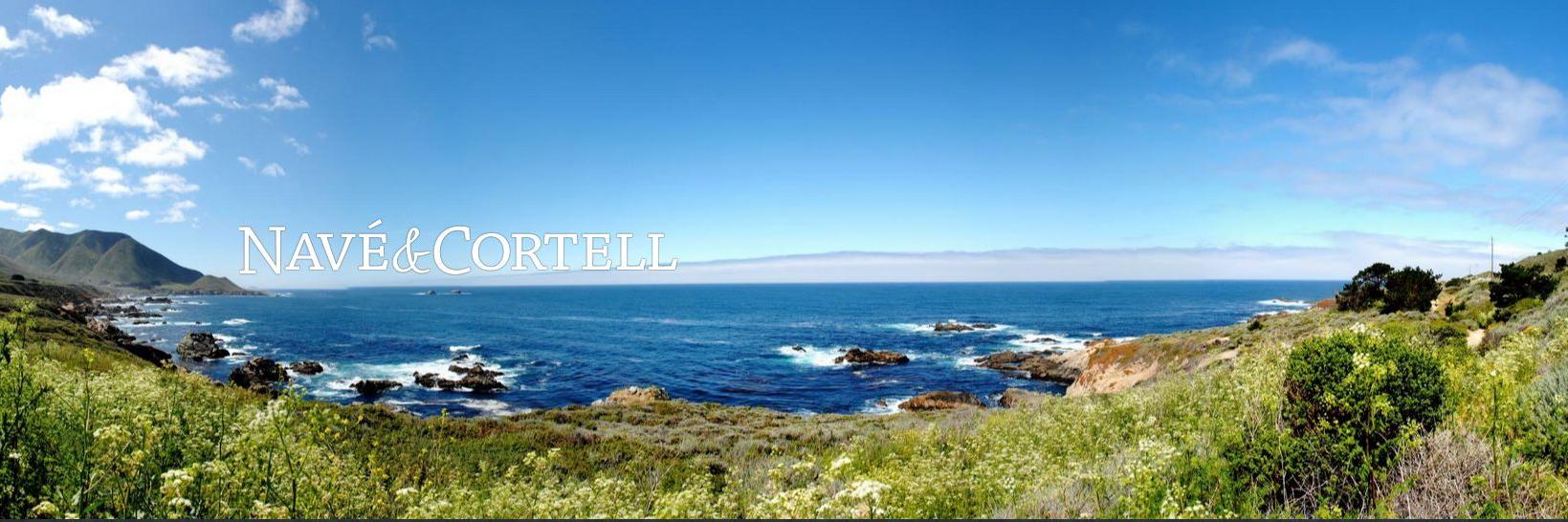 navecortell's profile banner image