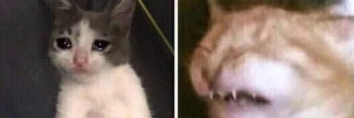 Spir4lwind's profile banner image