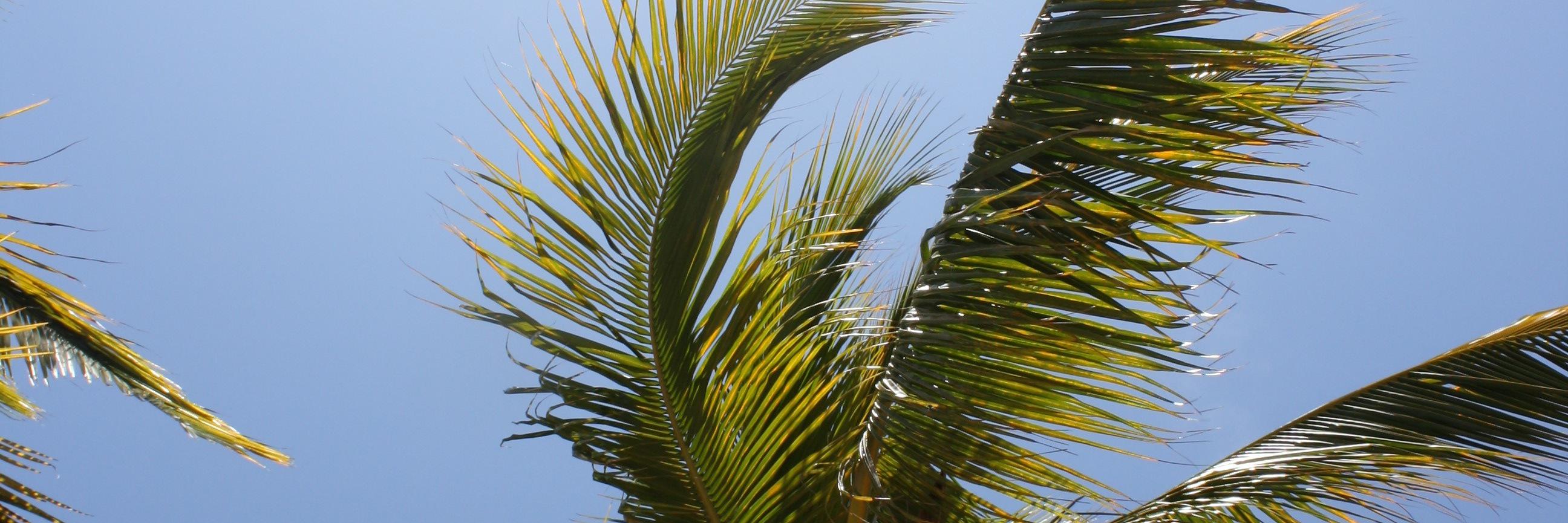 dlsheldrick's profile banner image
