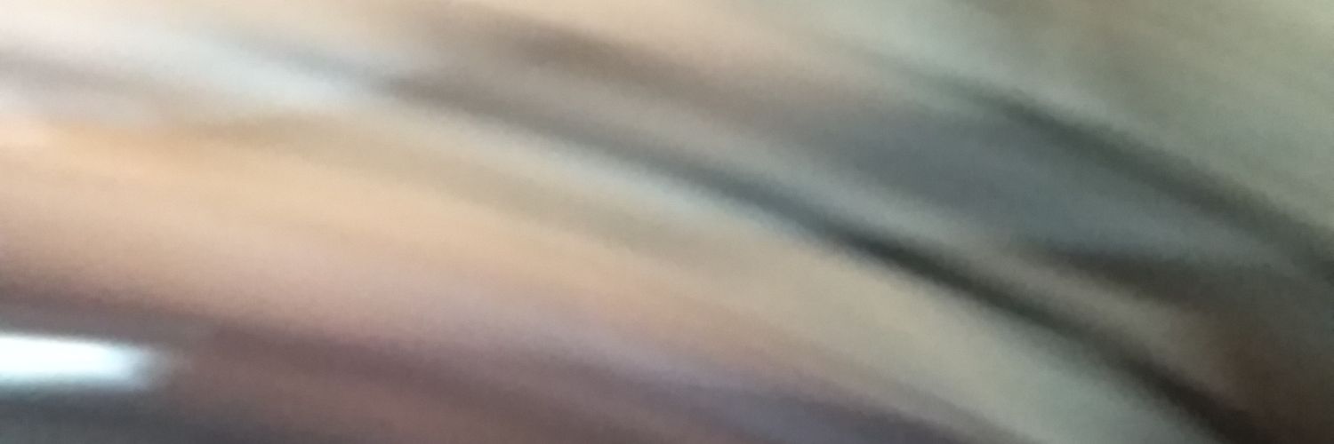 si_ku_ri's profile banner image
