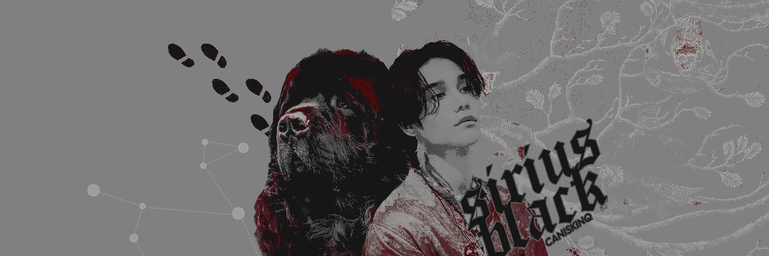 caniskinq's profile banner image