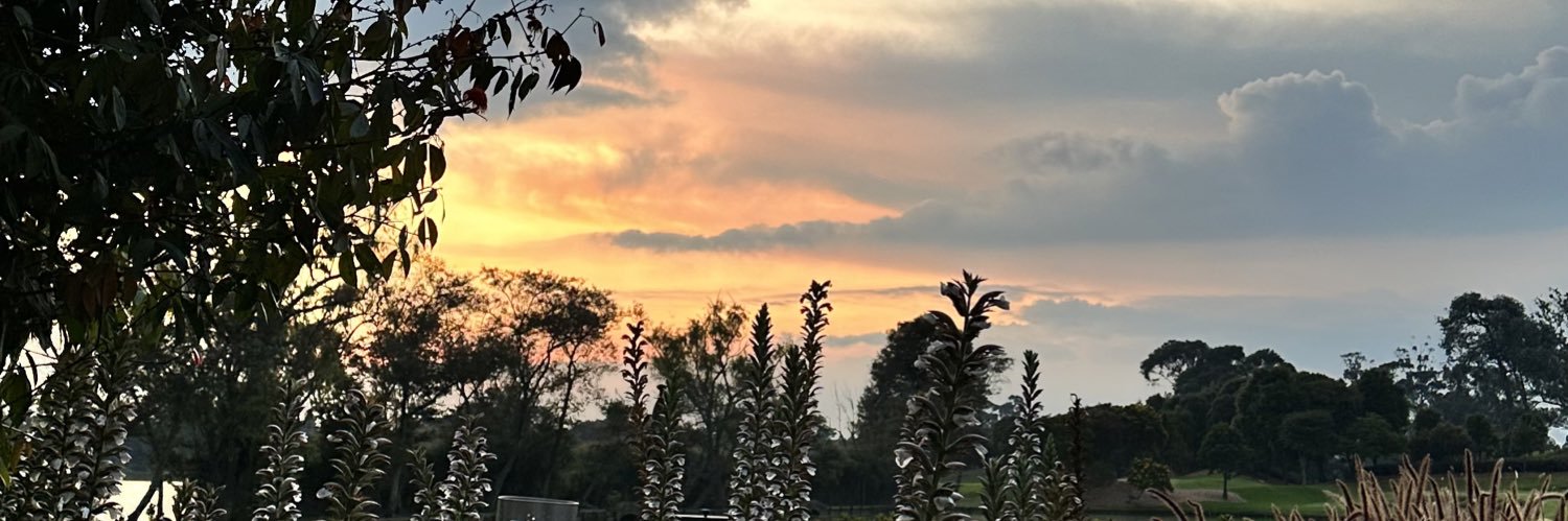 NethFuentes's profile banner image