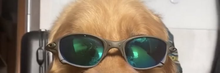 brunoveroo's profile banner image