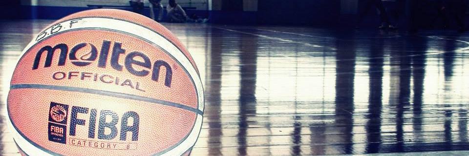 Priscilla Paz banner