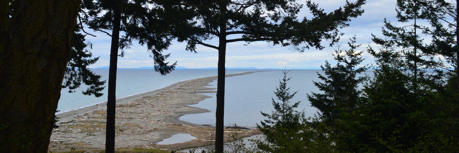 Spencer 'tweets 4 free' Soper banner