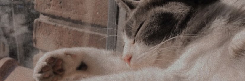 paufernandeeez's profile banner image