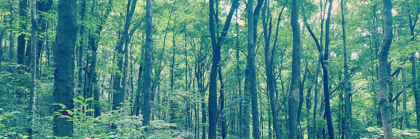 ChelseaNManess's profile banner image