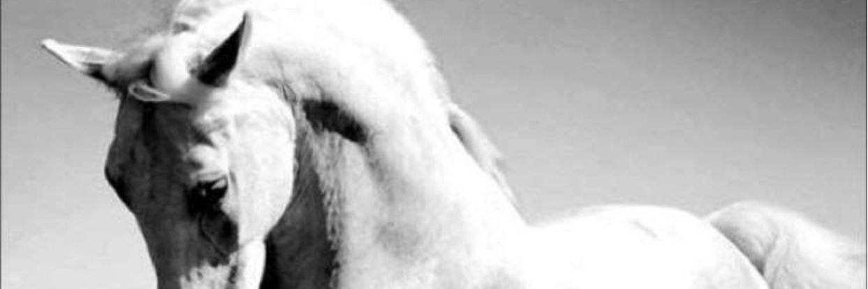 Hmnyallw's profile banner image