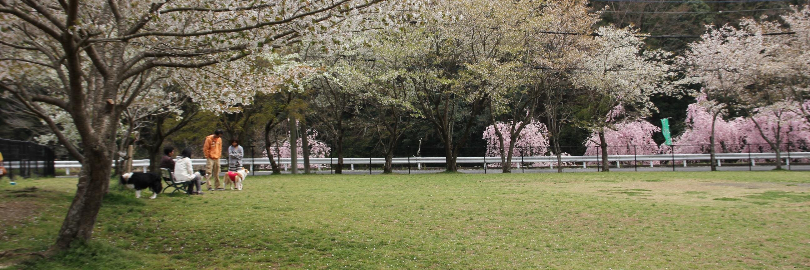 yadogrun's profile banner image