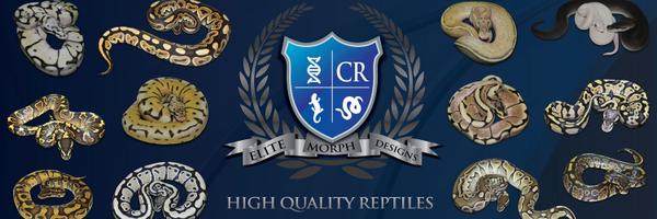 CanoReptile Profile Banner