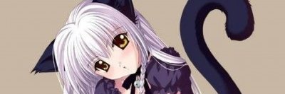 DarkKitten123's profile banner image