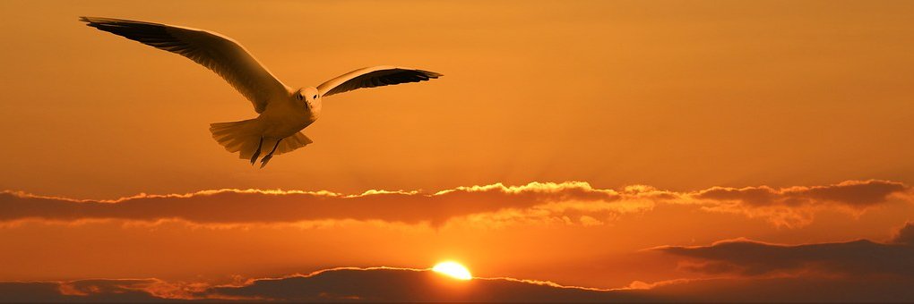 RahmLie's profile banner image
