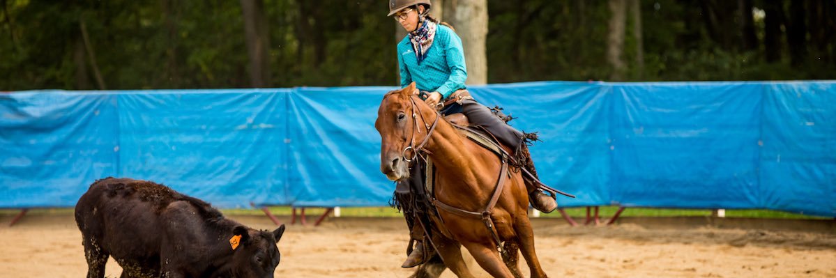 KristenKovatch's profile banner image