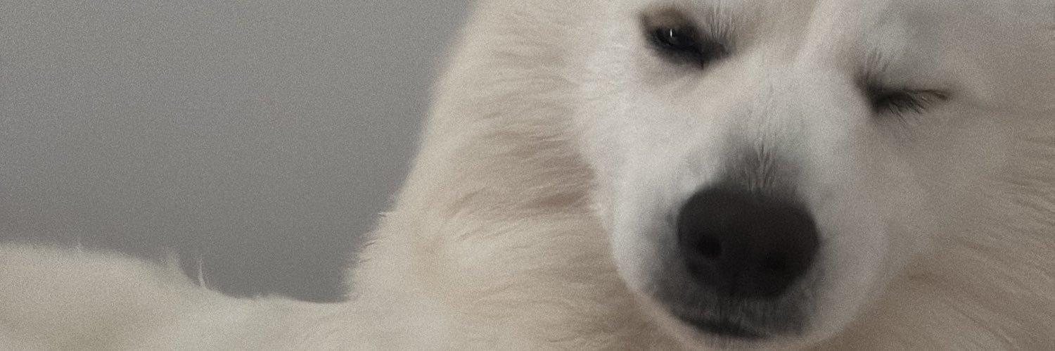 madupaim's profile banner image