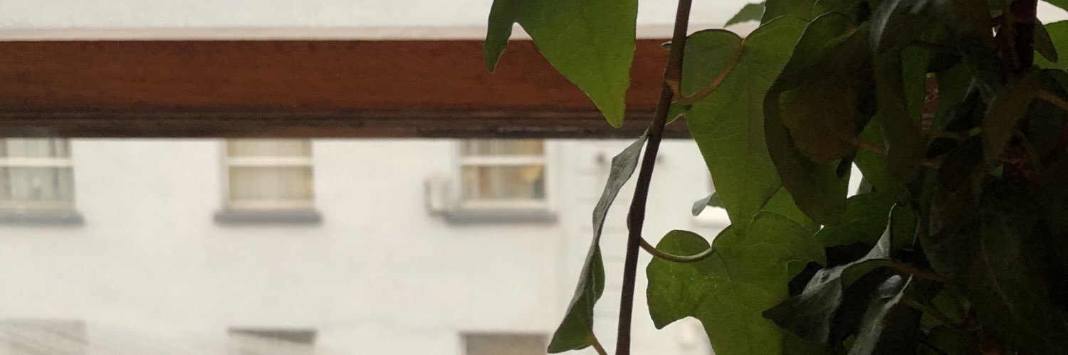 shitmidt's profile banner image