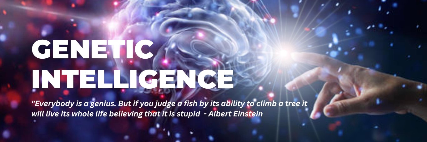 STIFInInstitute's profile banner image