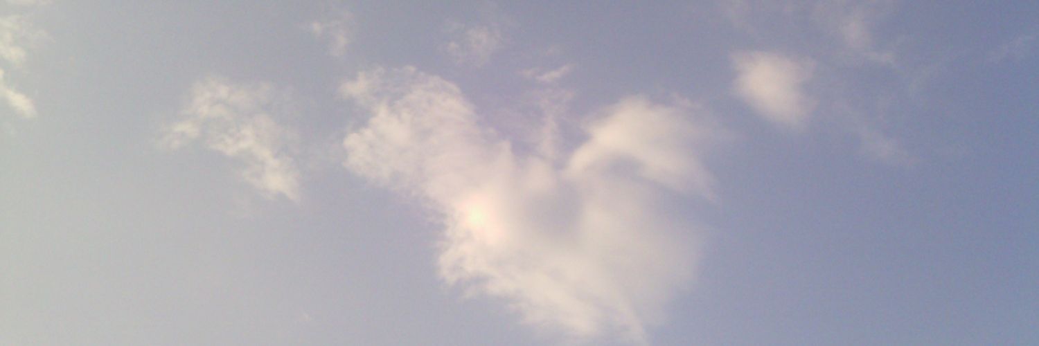 ffsiwapohn's profile banner image